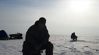 Двадцать километров по льду Онеги в поисках налима