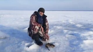 Двадцать километров по льду Онеги в поисках налима