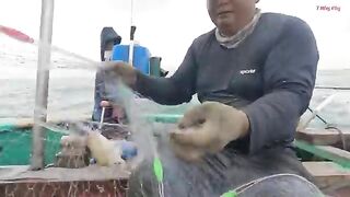 В море на круглой лодке у Лонгхая: ночная сеть и утренний улов