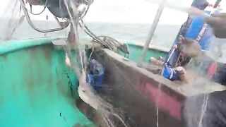В море на круглой лодке у Лонгхая: ночная сеть и утренний улов