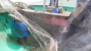 В море на круглой лодке у Лонгхая: ночная сеть и утренний улов