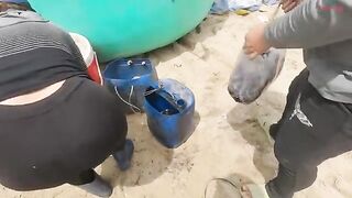 В море на круглой лодке у Лонгхая: ночная сеть и утренний улов