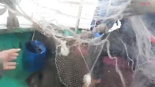 В море на круглой лодке у Лонгхая: ночная сеть и утренний улов