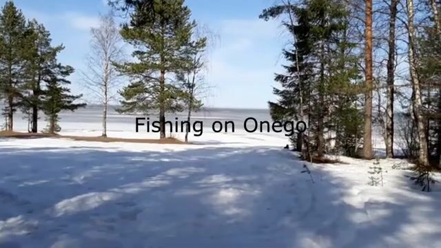 Зимняя рыбалка на Онежском озере в Карелии: разговор с местным рыбаком о щуке и последней жерлице
