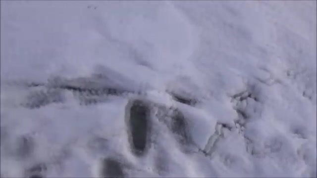 Зимняя рыбалка на Онежском озере в Карелии: разговор с местным рыбаком о щуке и последней жерлице