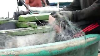 Утро в рыбацкой деревне Лонгхай: ждем лодки и помогаем с сетью