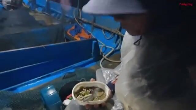 Сельдь в Лонгхае: возвращение рыбаков, разбор сетей и семейный ужин после промысла