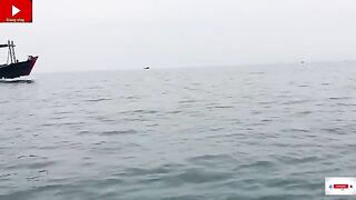 Килограмм рыбы за три часа: непростая рыбалка у островов Кото