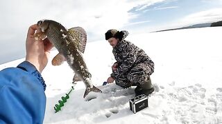 Поздний выход на лед Онеги за хариусом