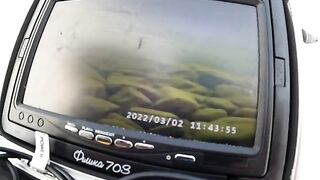 Поздний выход на лед Онеги за хариусом
