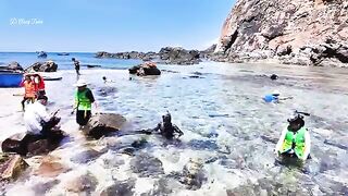 Остров Хонсео у Куинёна: рыбалка, купание и обед на берегу