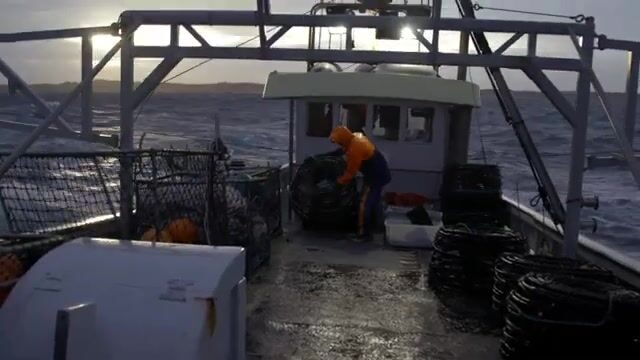 Промысел лангуста у юго-западного берега Тасмании: дождь, живой улов и работа нескольких экипажей