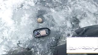 Два крупных сига на первом зимнем выходе по югу Онеги