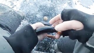 Два крупных сига на первом зимнем выходе по югу Онеги