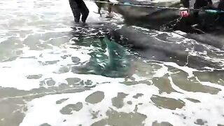 Невод на пляже Микхе в Дананге: рыбаки и отдыхающие у прибоя