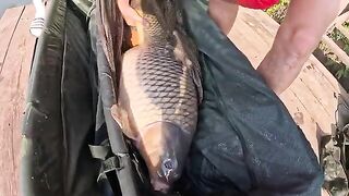 Последняя ночь карпового турнира в Румынии
