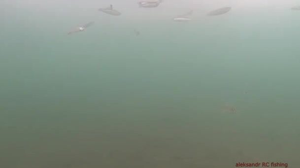 Зимняя рыбалка на корюшку на острове Русский: подводная камера показывает поклевки