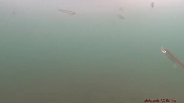 Зимняя рыбалка на корюшку на острове Русский: подводная камера показывает поклевки