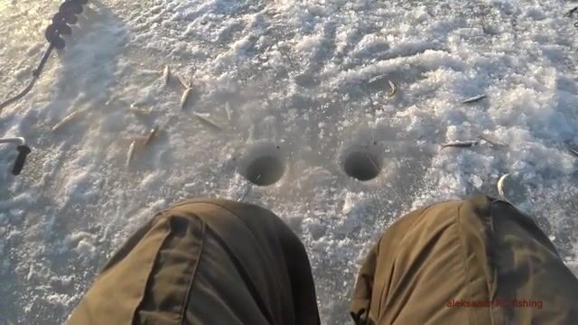 Зимняя рыбалка на корюшку на острове Русский: подводная камера показывает поклевки