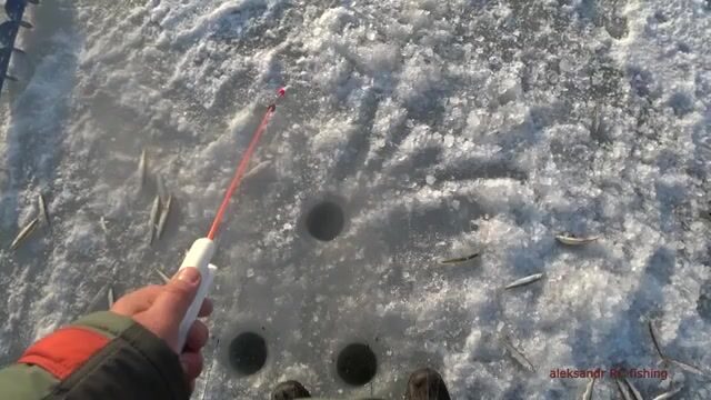Зимняя рыбалка на корюшку на острове Русский: подводная камера показывает поклевки