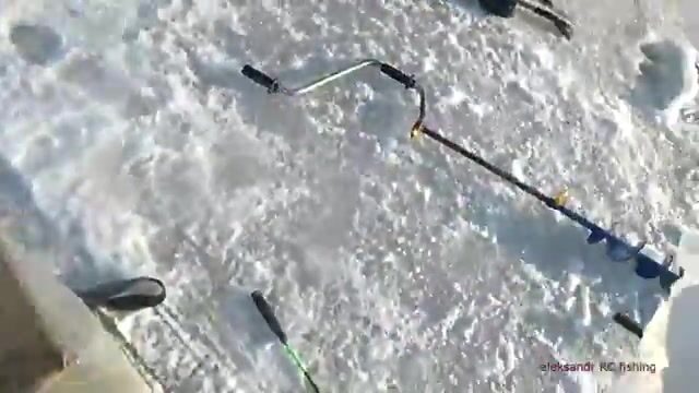 Зимняя рыбалка на корюшку на острове Русский: подводная камера показывает поклевки