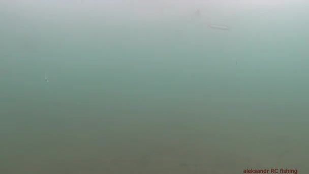 Зимняя рыбалка на корюшку на острове Русский: подводная камера показывает поклевки