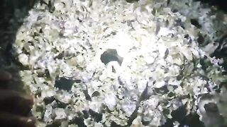 Два дня на мысе Ким: ночевка и рыбалка у Нёнли