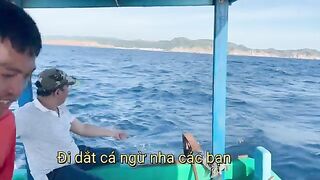 Ранний выход из Куинёна: сначала макрель, потом ловля на креветку