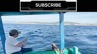 Ранний выход из Куинёна: сначала макрель, потом ловля на креветку