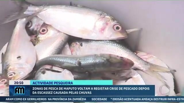Рыбацкие районы Мапуту после сильных дождей: скудный улов, лодки у берега и разговор с продавцами