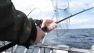 Сильная рыба у борта: вываживание на Онежском озере