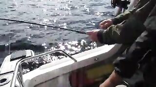 Сильная рыба у борта: вываживание на Онежском озере