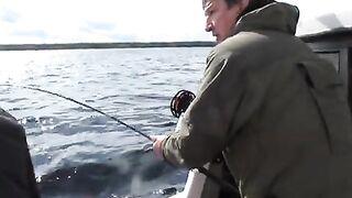 Сильная рыба у борта: вываживание на Онежском озере