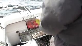 Сильная рыба у борта: вываживание на Онежском озере