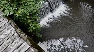 Два дня на румынском ручье и девять пойманных форелей