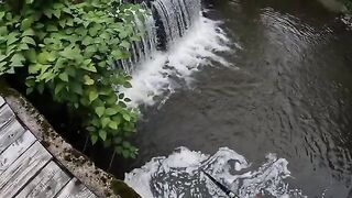 Два дня на румынском ручье и девять пойманных форелей