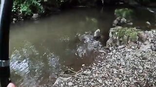 Два дня на румынском ручье и девять пойманных форелей