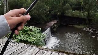 Два дня на румынском ручье и девять пойманных форелей