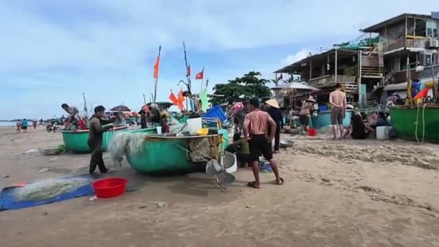Рыбацкая деревня Лонгхай во Вьетнаме: дорога по пляжу и разбор свежего улова у моря