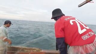 Ночная сеть у Лонгхая и домашний ужин из свежего анчоуса