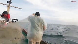 Ночная сеть у Лонгхая и домашний ужин из свежего анчоуса
