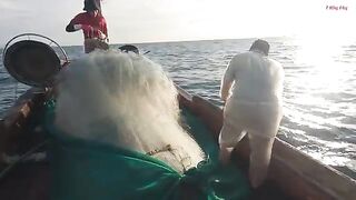 Ночная сеть у Лонгхая и домашний ужин из свежего анчоуса