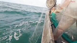 Ночная сеть у Лонгхая и домашний ужин из свежего анчоуса