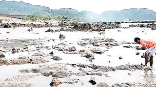 Семейный сбор морепродуктов на мелководье Лонгхая