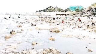 Семейный сбор морепродуктов на мелководье Лонгхая