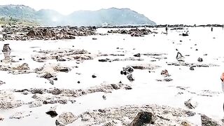Семейный сбор морепродуктов на мелководье Лонгхая