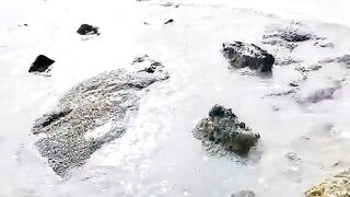 Семейный сбор морепродуктов на мелководье Лонгхая