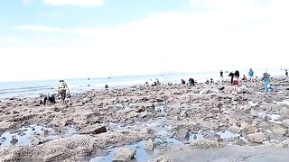 Семейный сбор морепродуктов на мелководье Лонгхая