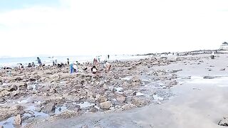 Семейный сбор морепродуктов на мелководье Лонгхая
