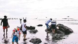 Семейный сбор морепродуктов на мелководье Лонгхая